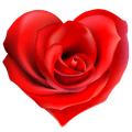 Coeur de rose